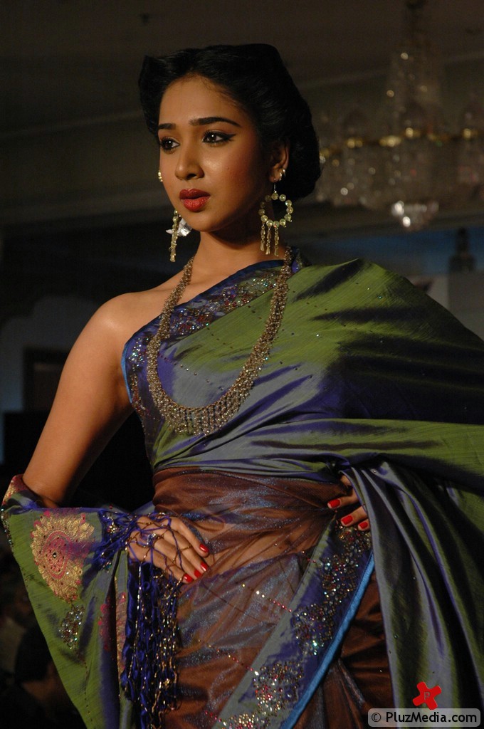 Palam Silk Fashion Show 2011 Pictures | Picture 74232